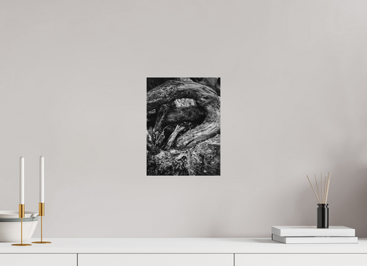 9 x 12″, Fine Art Print No Frame Ancient Turning