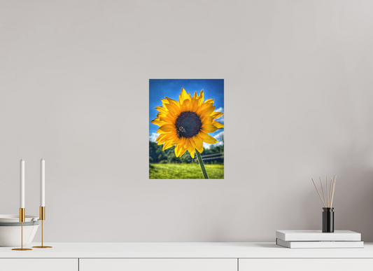 9 x 12″, Fine Art Print No Frame The Work of Light