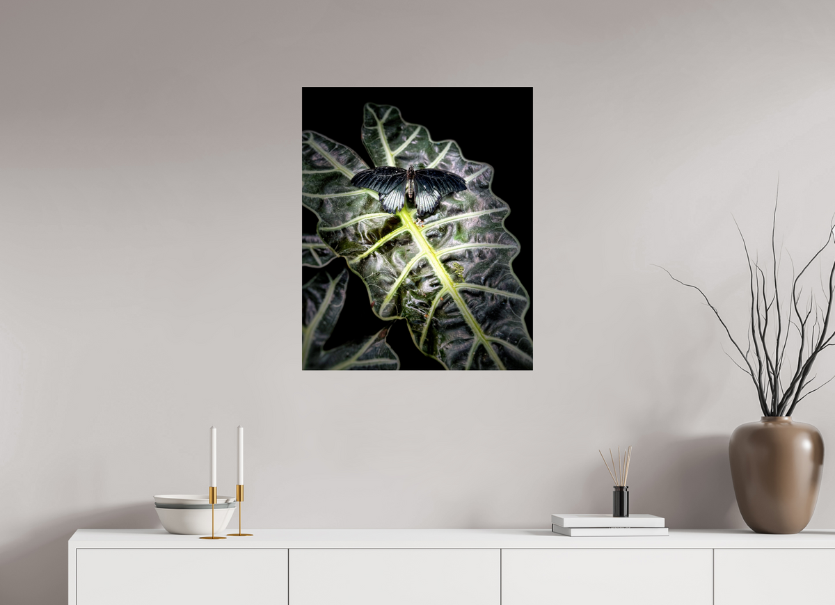 24 x 29.5″, Fuji Crystal Paper under Acrylic Glass no Frame Veins of Light