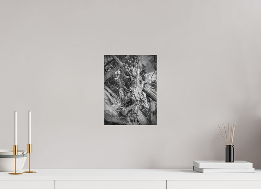9 x 12″, Fine Art Print No Frame What the Wood Remembers