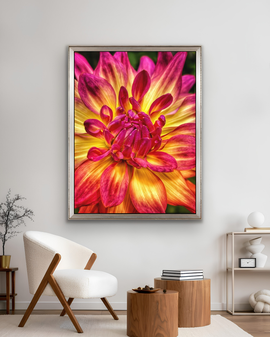 Unapologetic Bloom