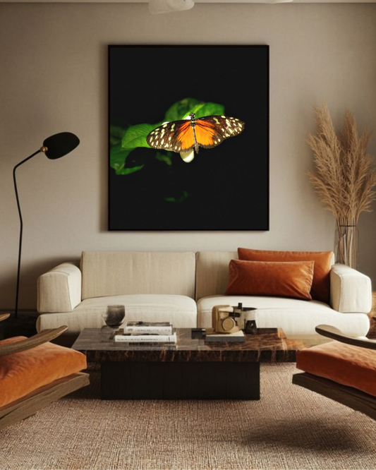 Monarch's Pause
