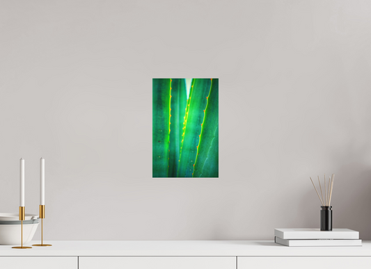 8 x 12″, Fine Art Print No Frame Written in Green