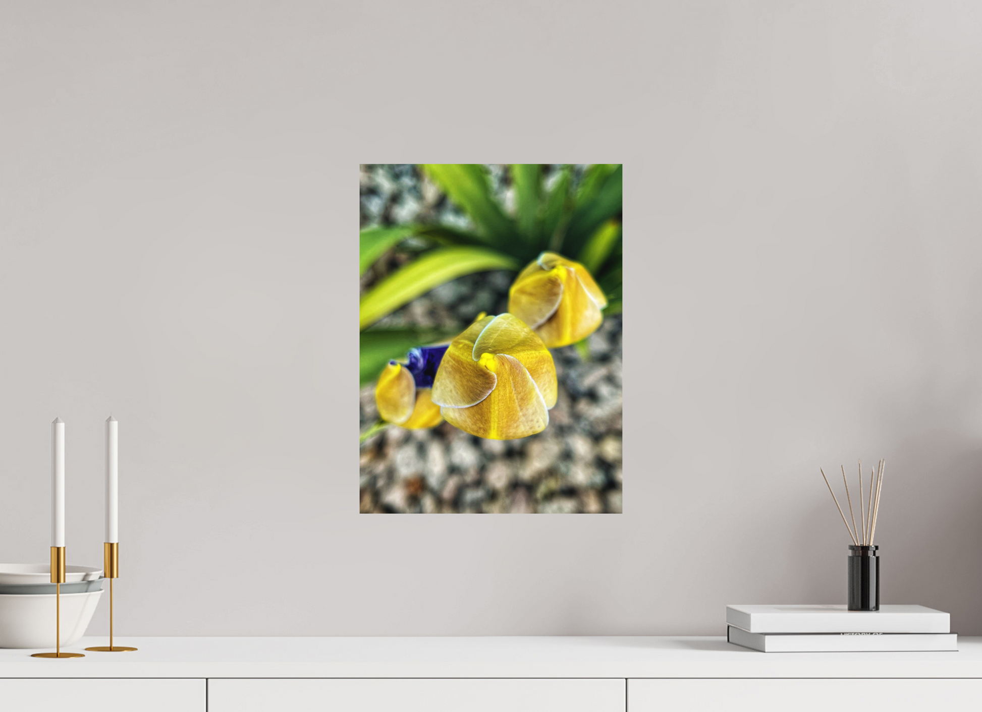 12 x 16″, Fine Art Print No Frame Golden Curiosity