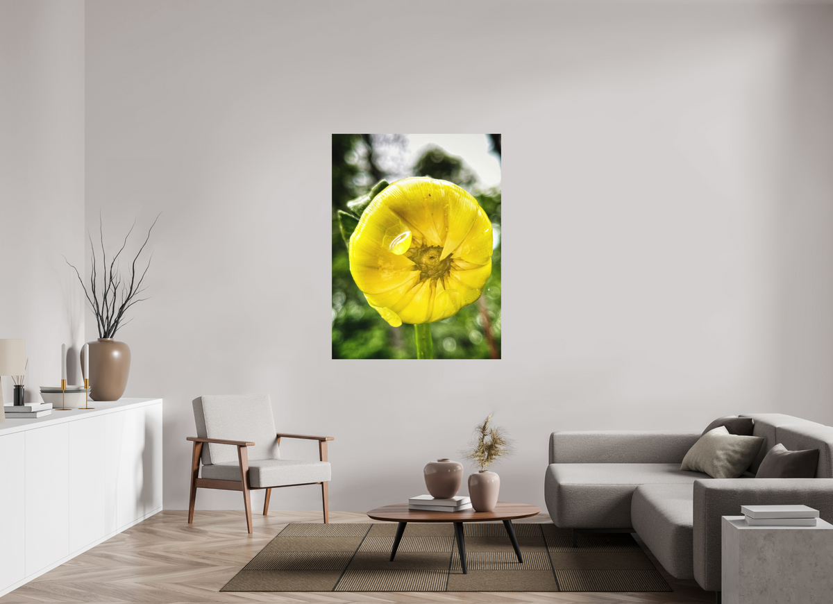 A Drop of Sun — 42 x 56″ room mockup; finish varies by configuration.
