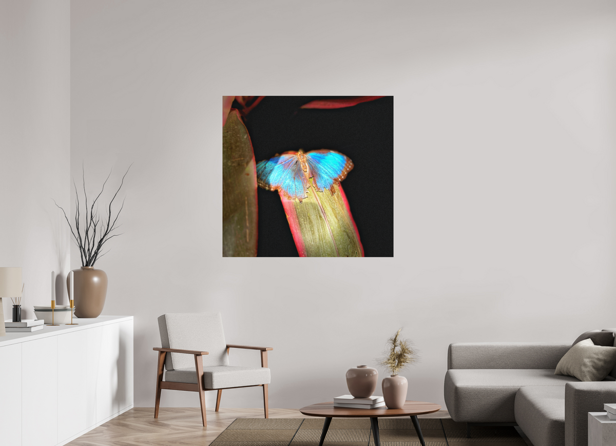 45.5 x 43″, Print on Aluminum Dibon no Glass Blue Reverie