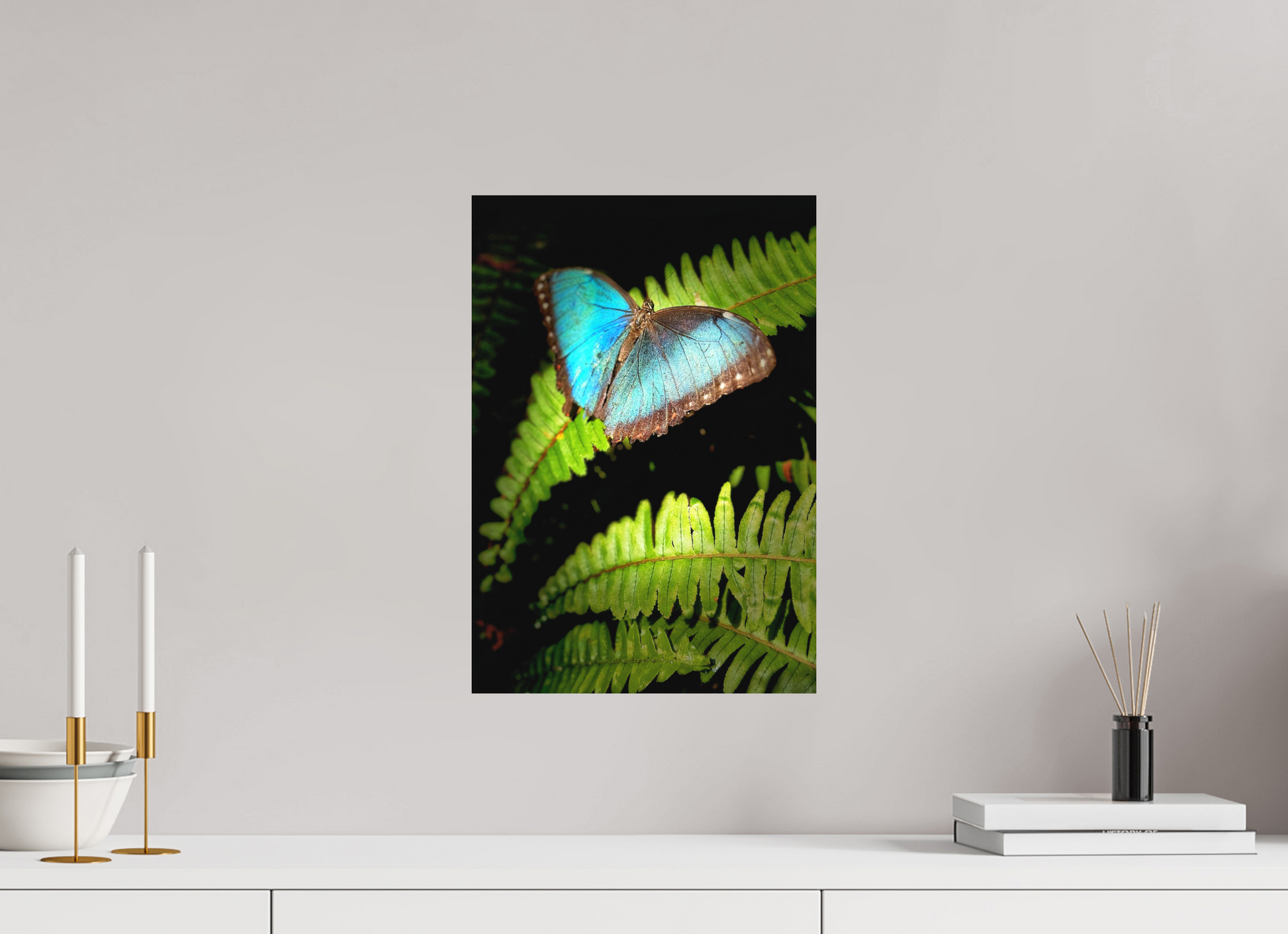 12 x 17.4″, Fine Art Print (Unframed) Held By Wonder