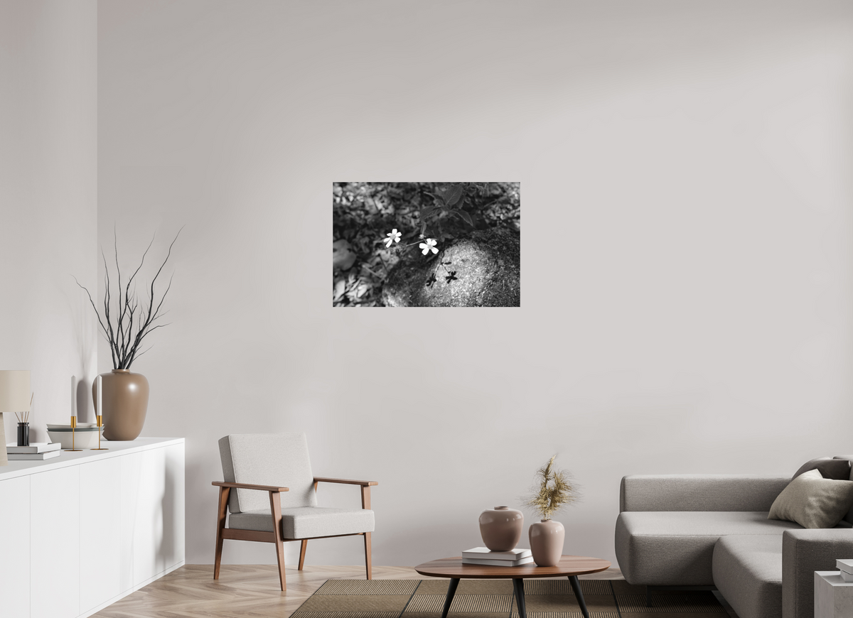 36 x 24″, Print on Aluminum Dibon no Glass Small Miracles