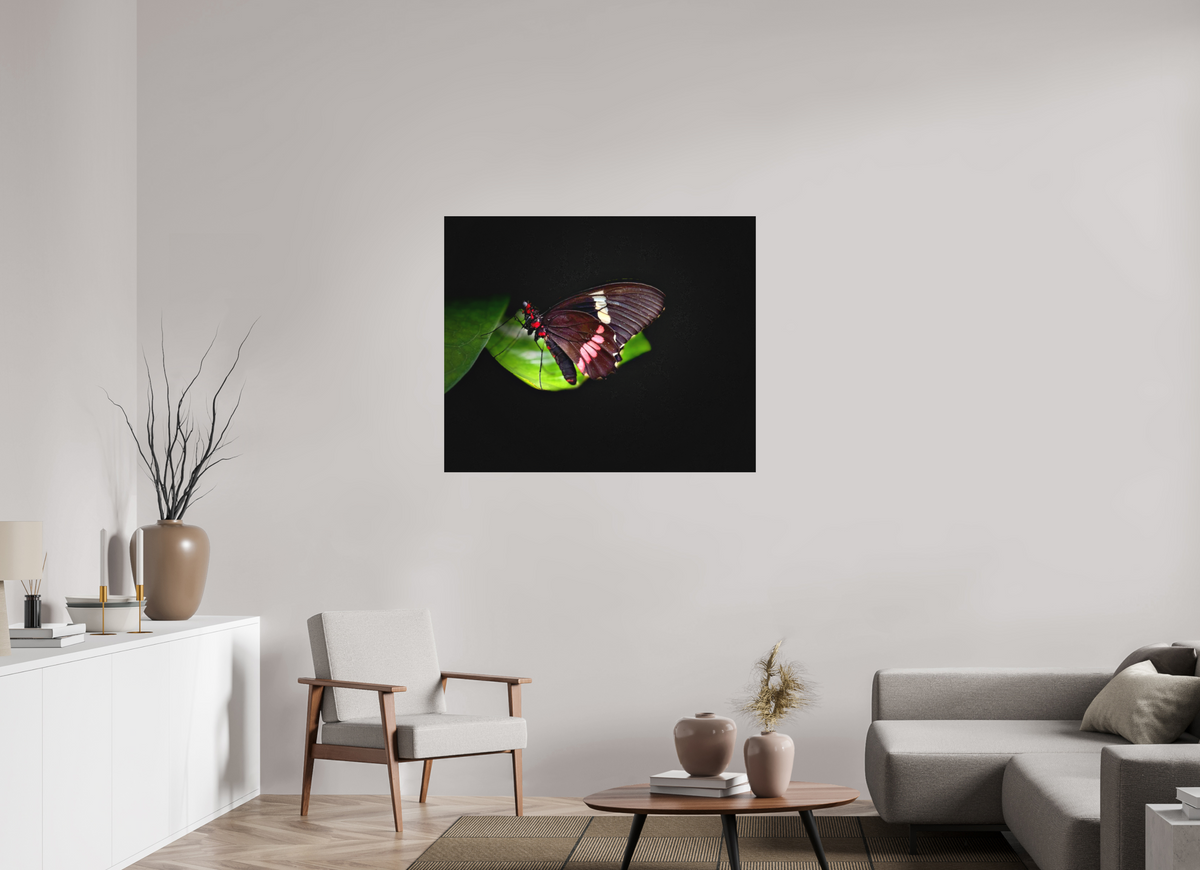 42.6 x 35″, Print on Aluminum Dibon no Glass Velvet Wings
