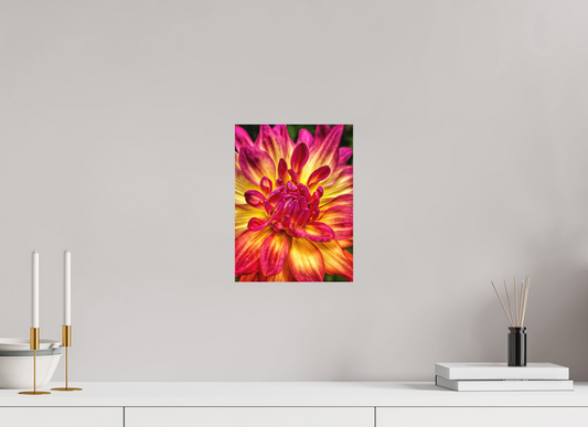 9 x 12″, Fine Art Print No Frame Unapologetic Bloom