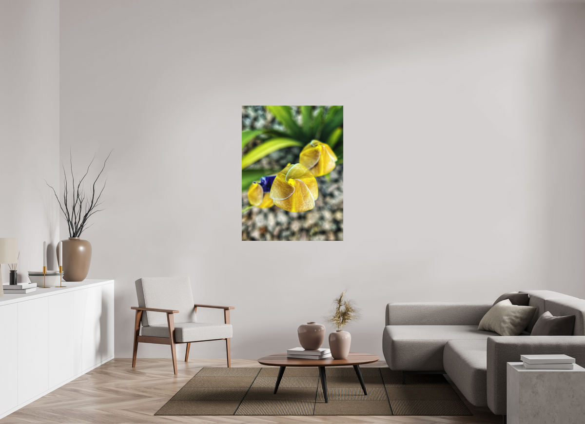 Golden Curiosity — 36 x 48″ room mockup; finish varies by configuration.
