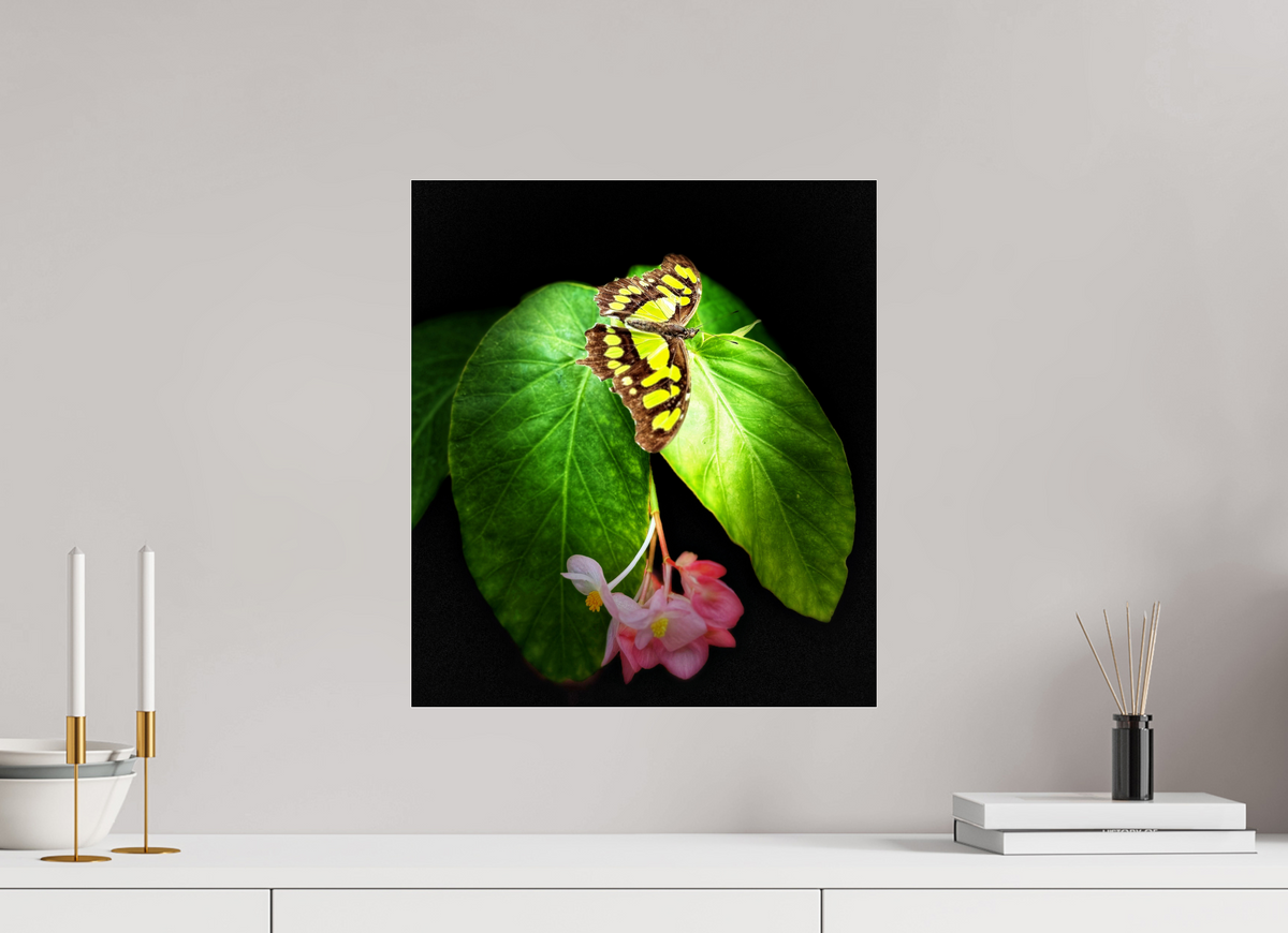 16 x 18.1″, Fuji Crystal Paper under Acrylic Glass no Frame Living Mosaic