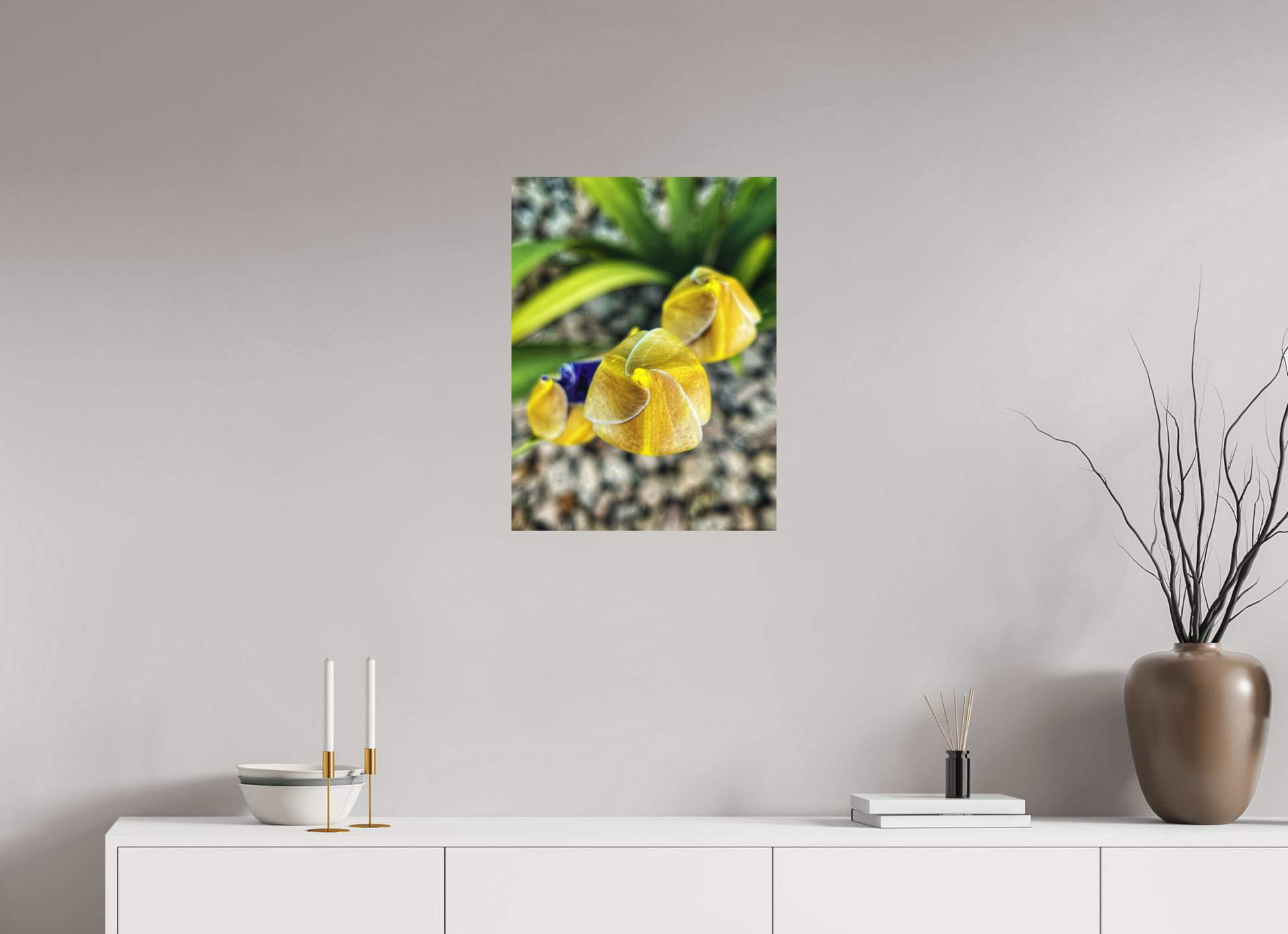 18 x 24″, Fine Art Print No Frame Golden Curiosity