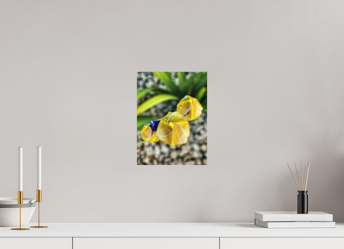 9 x 12″, Print on Aluminum Dibon no Glass Golden Curiosity