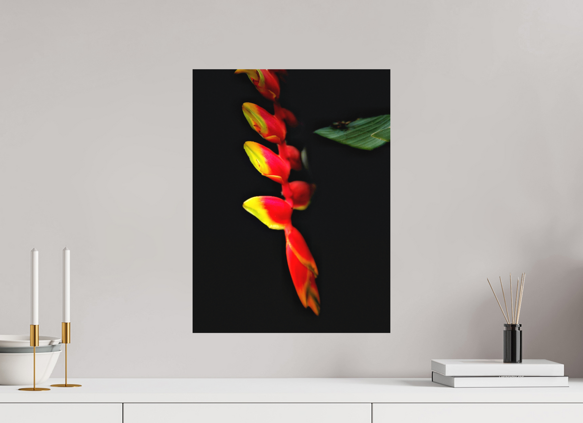 15 x 20″, Print on Aluminum Dibon no Glass Ember's Whisper