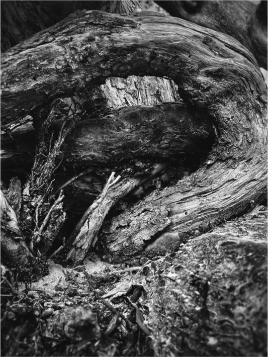 Main image Ancient Turning