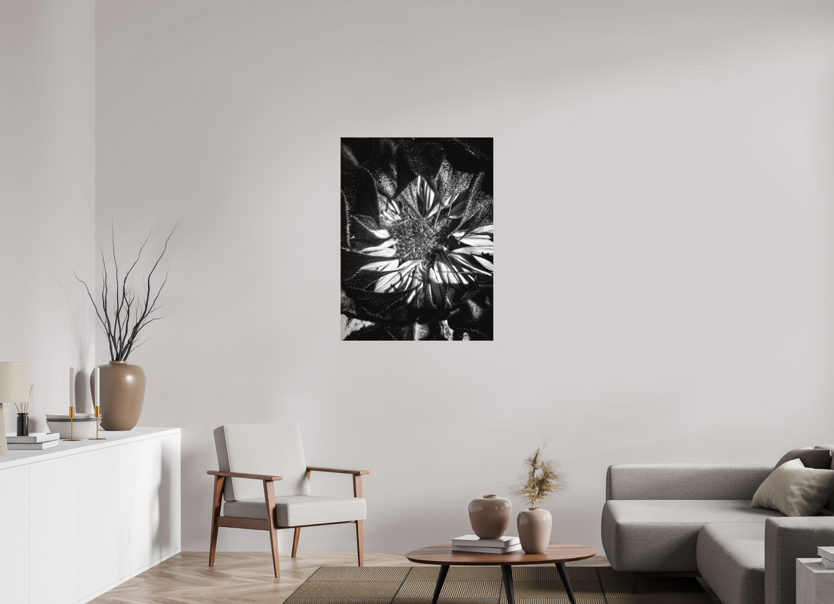 30 x 40″, Print on Aluminum Dibon no Glass Shadow Petals