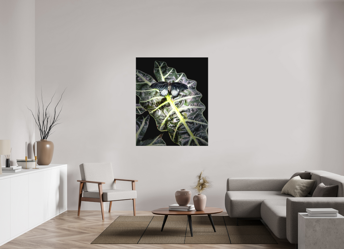 43 x 52.8″, Matte Canvas no Frame Veins of Light