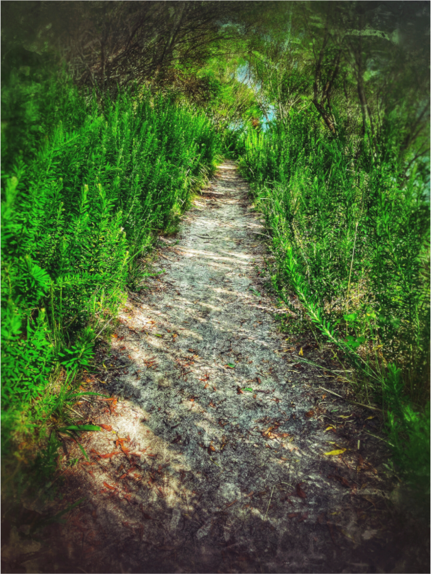 Main image The Green Passage