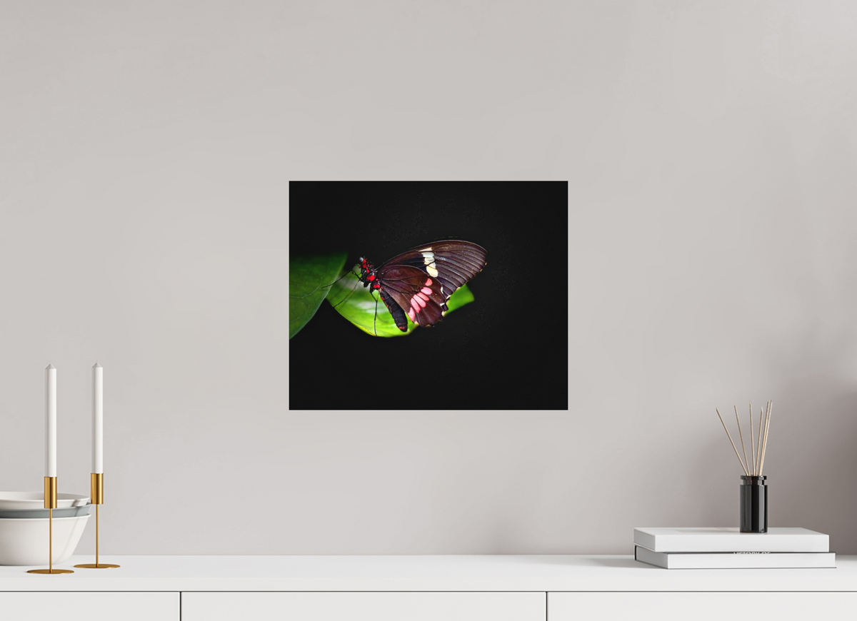 14.6 x 12″, Fine Art Print No Frame Velvet Wings