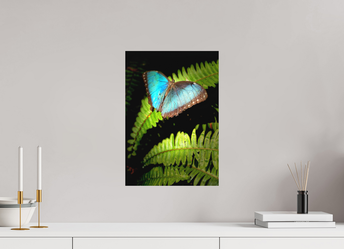 12 x 17.4″, Aluminum Dibond Print (No Glass)(Unframed) Held By Wonder