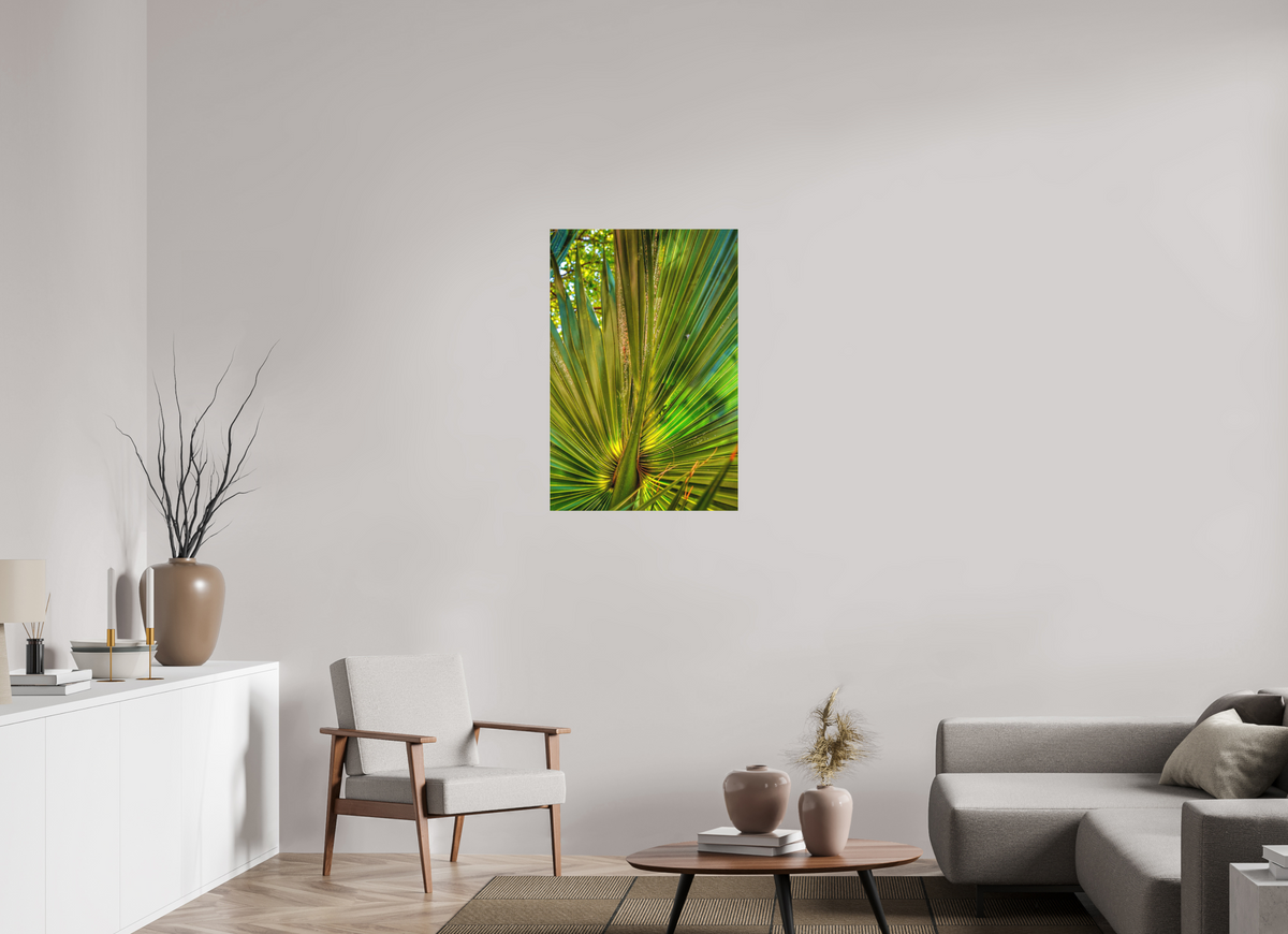 24 x 36″, Fine Art Print No Frame Cathedral of Palms