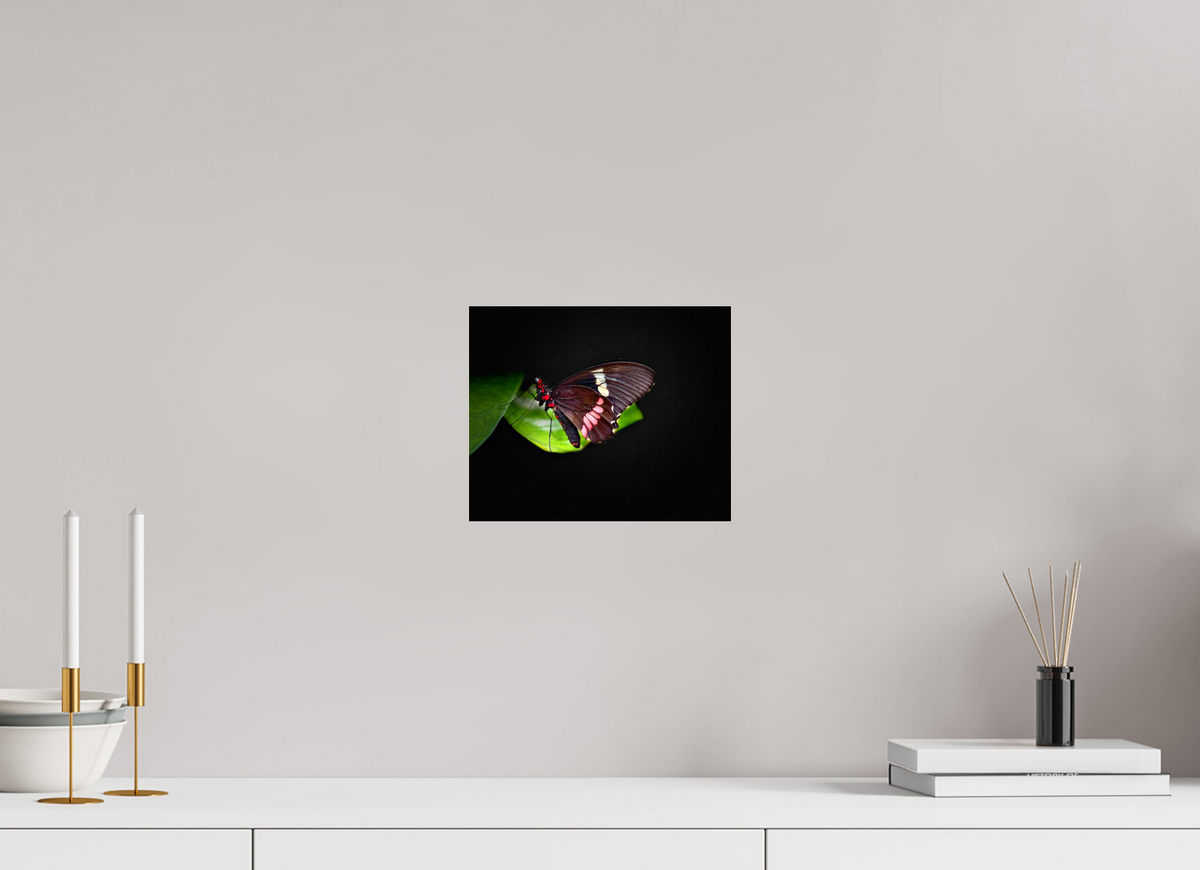 9.7 x 8″, Acrylic Glass Print (Unframed) Velvet Wings