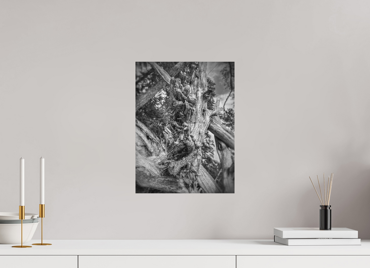 12 x 16″, Fine Art Print No Frame What the Wood Remembers