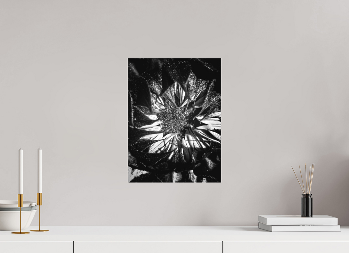 12 x 16″, Fine Art Print No Frame Shadow Petals