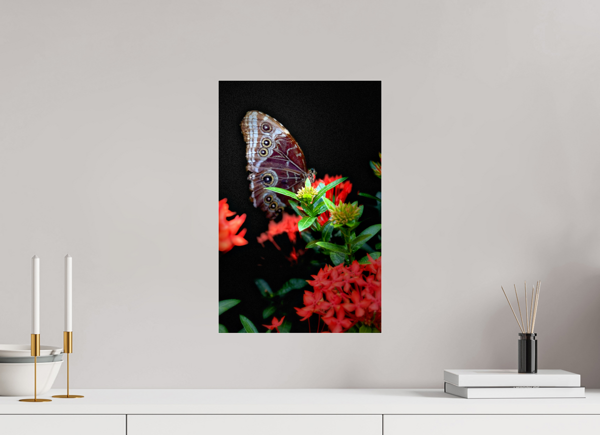 12 x 18.6″, Fuji Crystal Paper under Acrylic Glass no Frame Midnight Visitor
