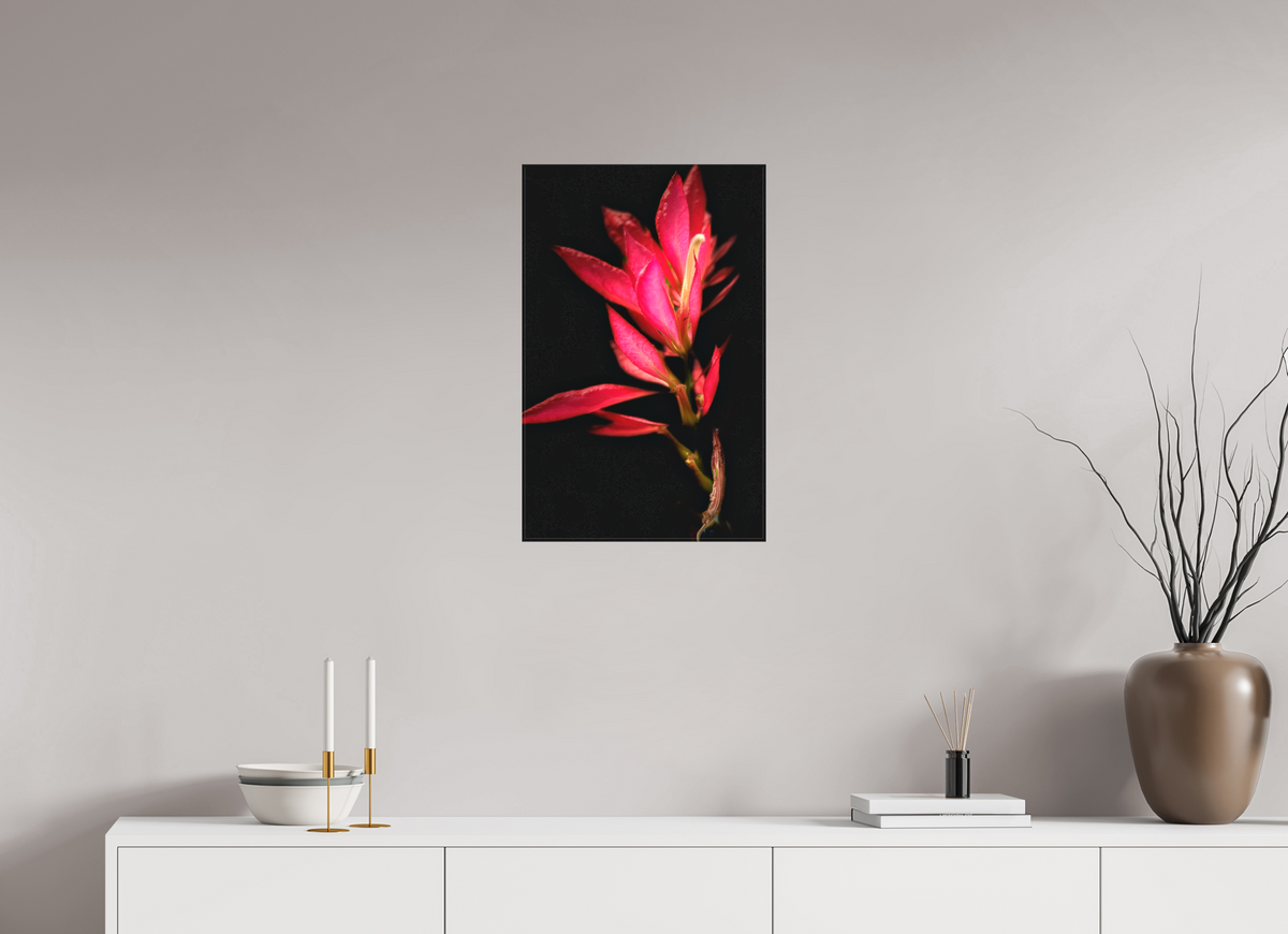 16 x 25″, Matte Canvas no Frame Scarlet Awakening