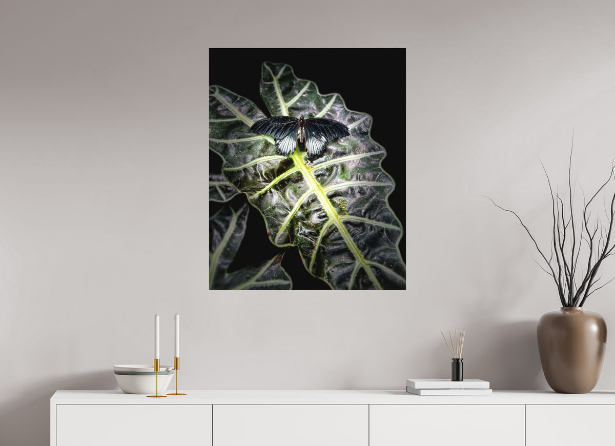 28 x 34.4″, Fine Art Print No Frame Veins of Light