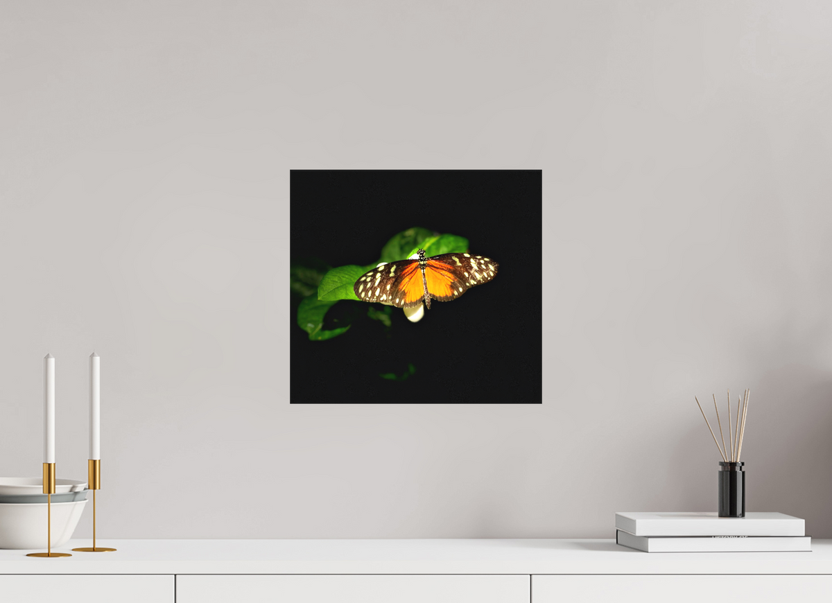 13 x 12″, Matte Canvas no Frame Monarch's Pause