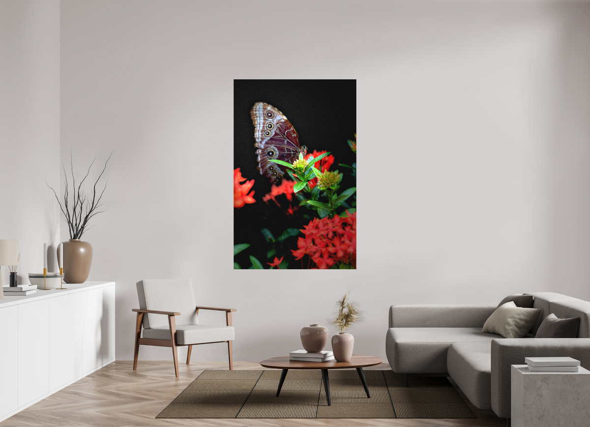 43 x 66.7″, Print on Aluminum Dibon no Glass Midnight Visitor