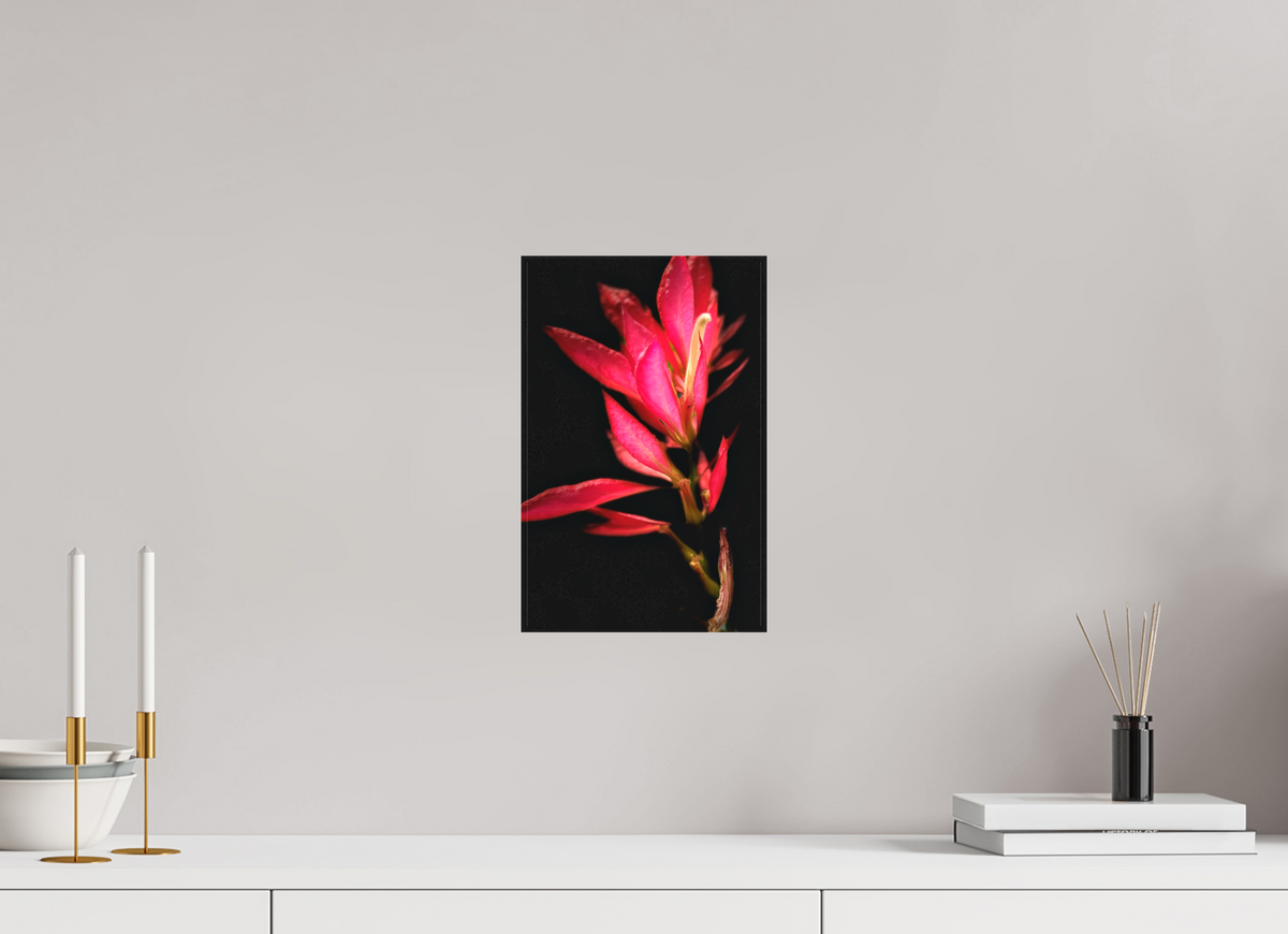 8 x 12.5″, Matte Canvas no Frame Scarlet Awakening