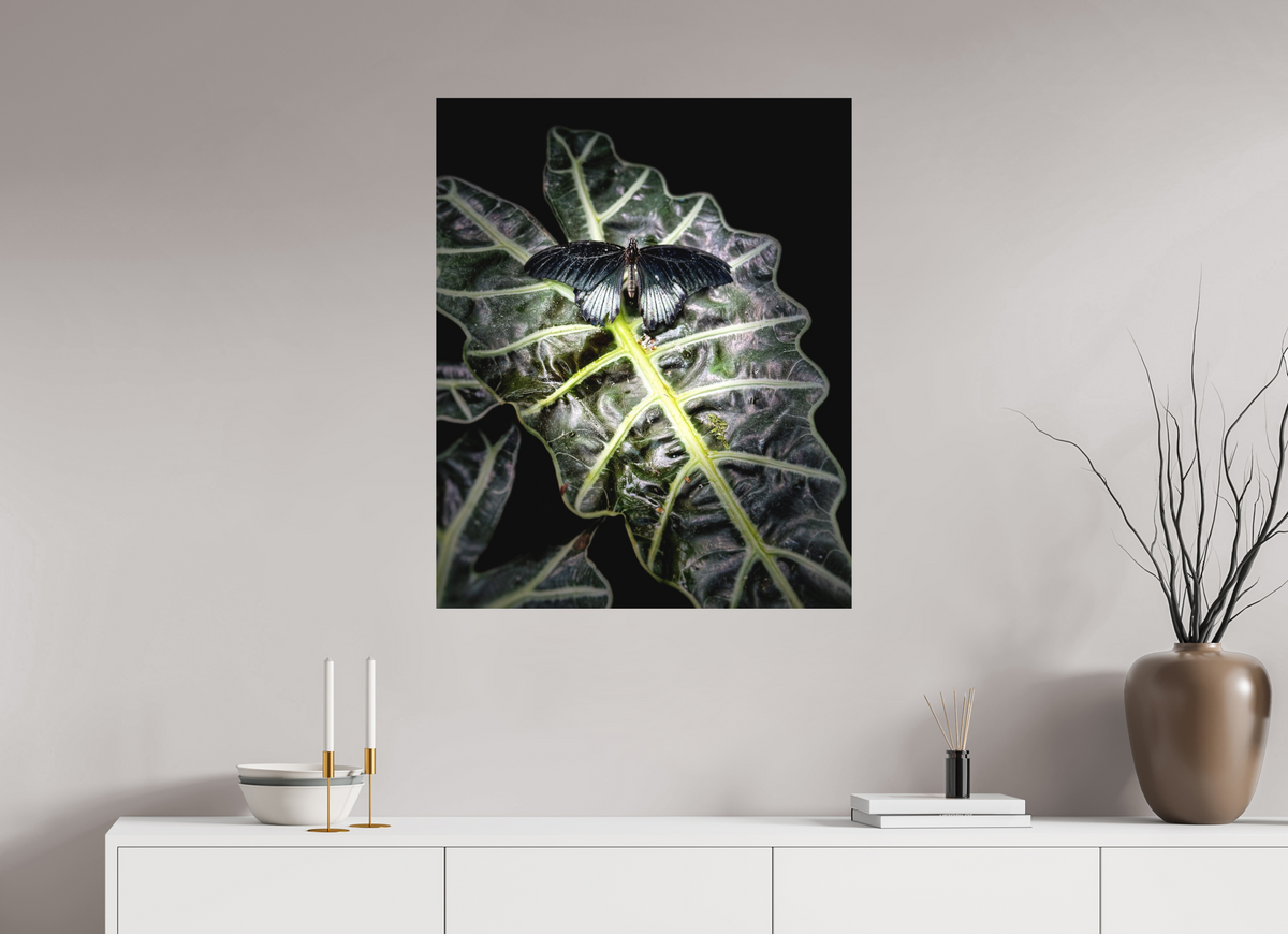 28 x 34.4″, Print on Aluminum Dibon no Glass Veins of Light