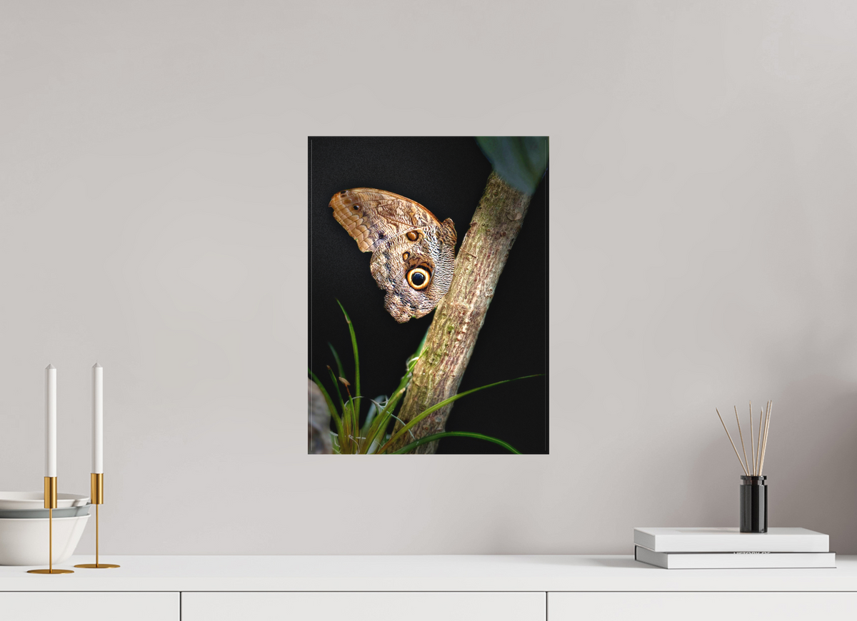 12 x 16″, Matte Canvas no Frame Keeper of the Branch