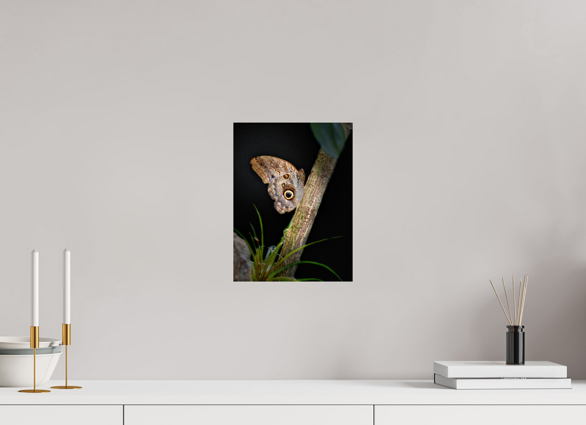9 x 12″, Fuji Crystal Paper under Acrylic Glass no Frame Keeper of the Branch