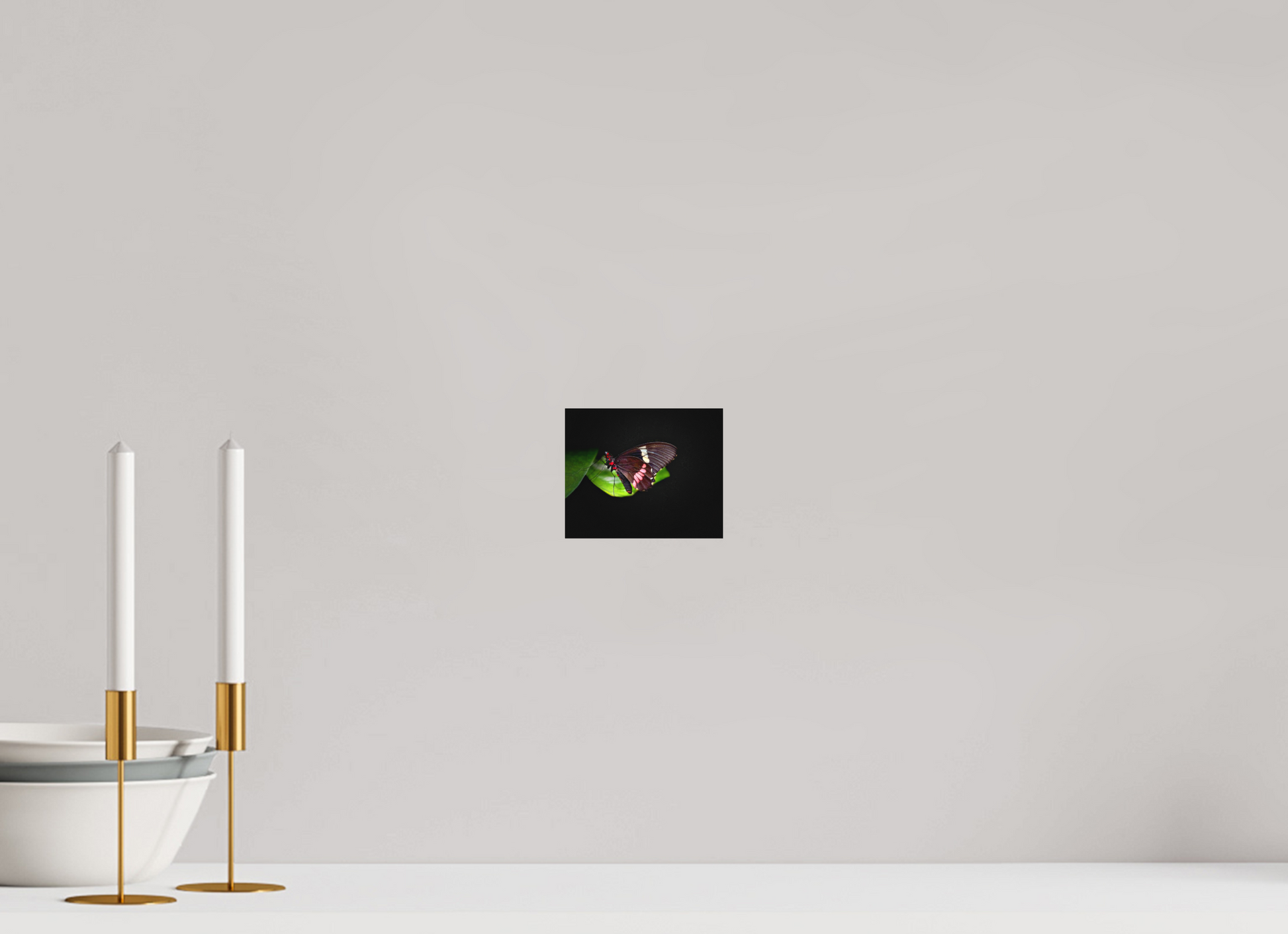 4.9 x 4″, Print on Aluminum Dibon no Glass Velvet Wings