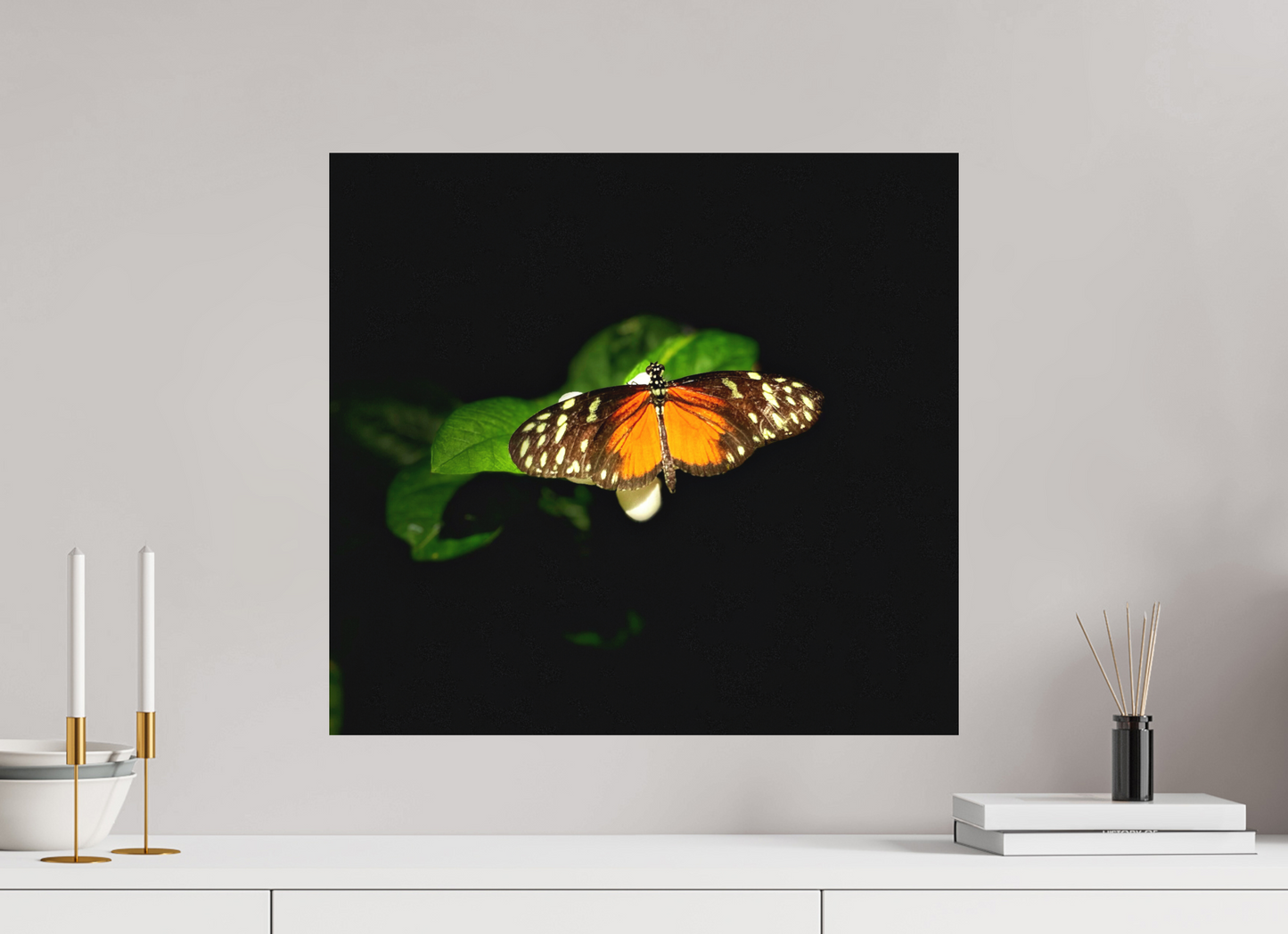 21.6 x 20″, Print on Aluminum Dibon no Glass Monarch's Pause