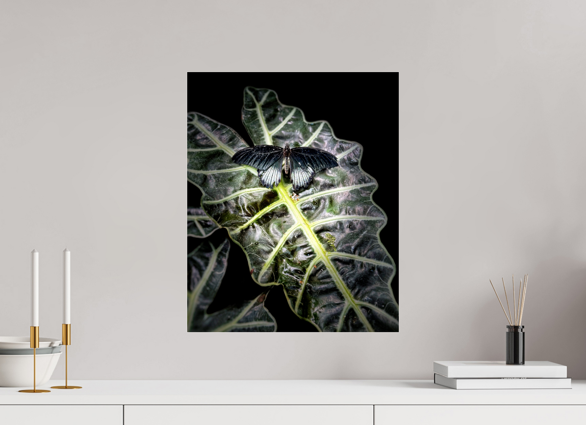 16 x 19.6″, Fuji Crystal Paper under Acrylic Glass no Frame Veins of Light