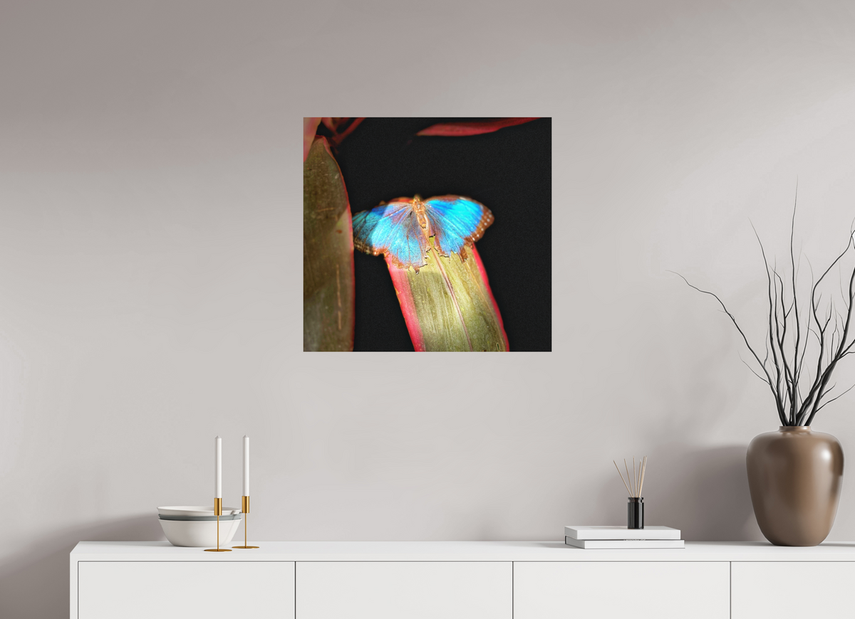 25.4 x 24″, Fine Art Print No Frame Blue Reverie