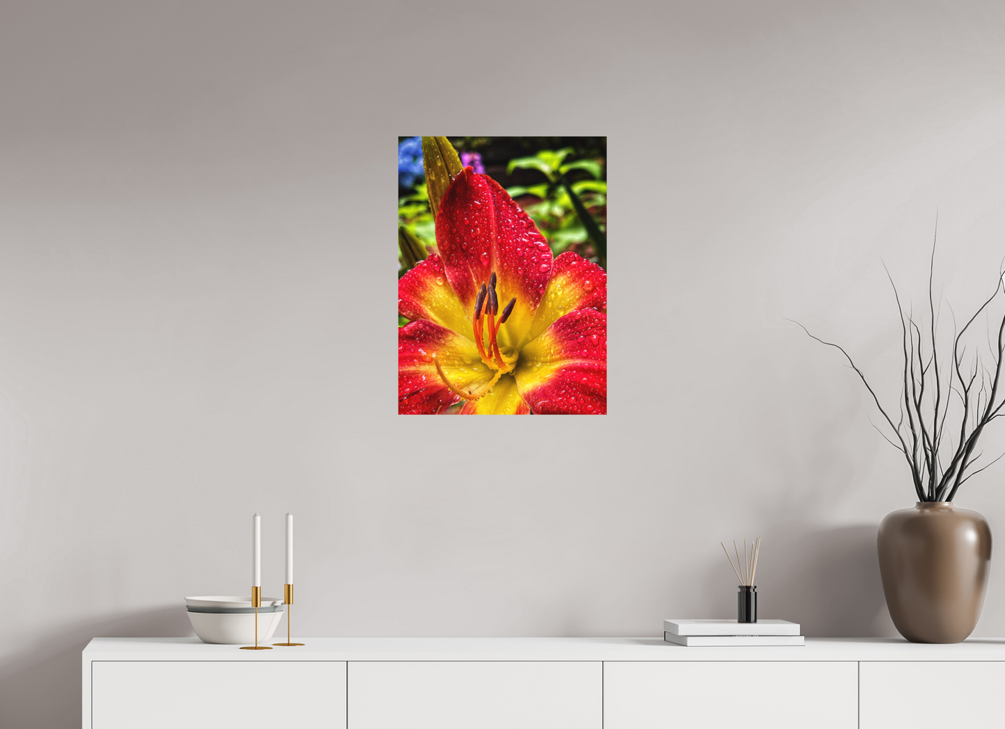 18 x 24″, Print on Aluminum Dibon no Glass Scarlet Becoming