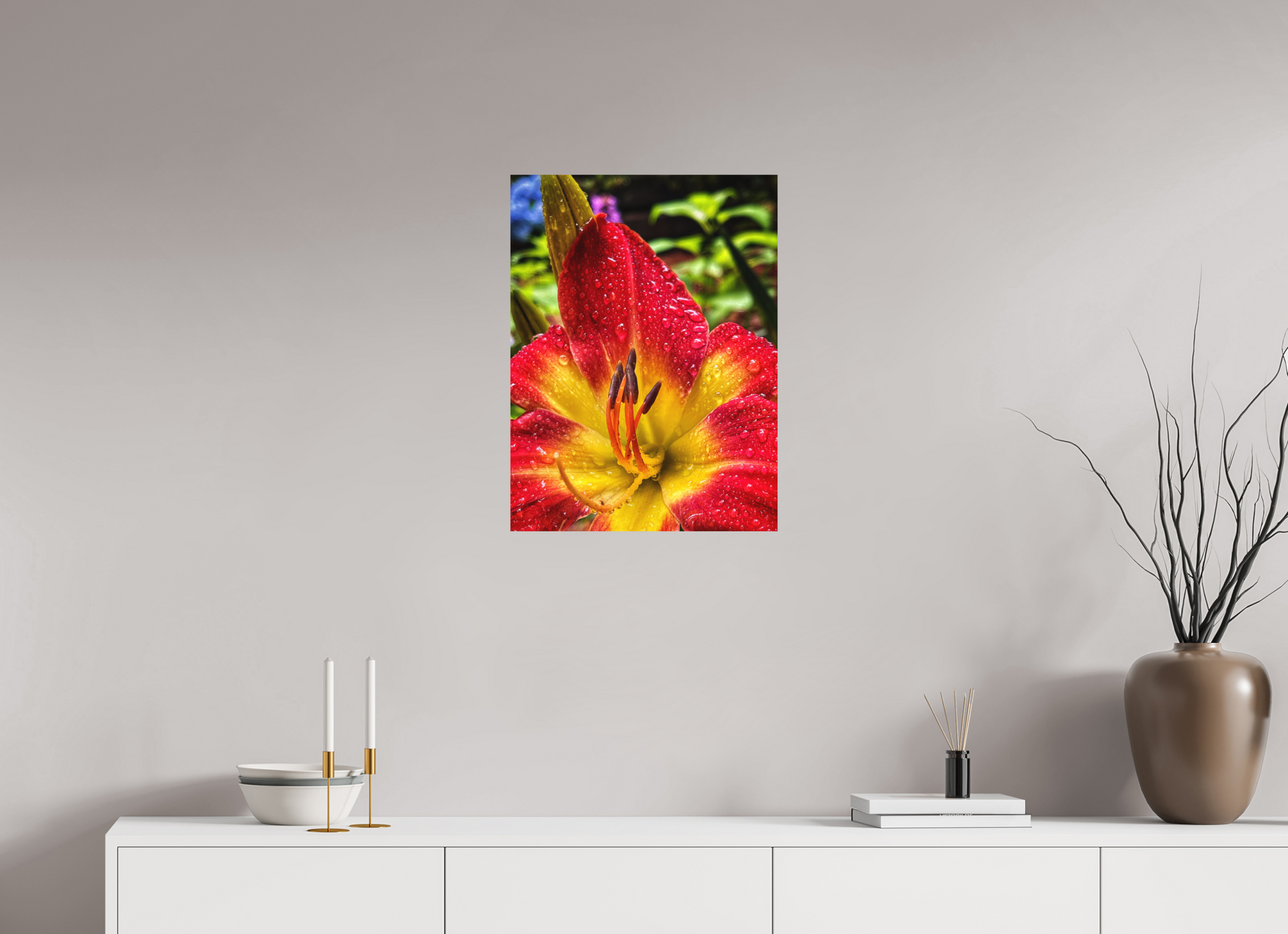 18 x 24″, Print on Aluminum Dibon no Glass Scarlet Becoming
