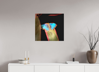 Blue Reverie — 25.4 x 24″ room mockup; finish varies by configuration.