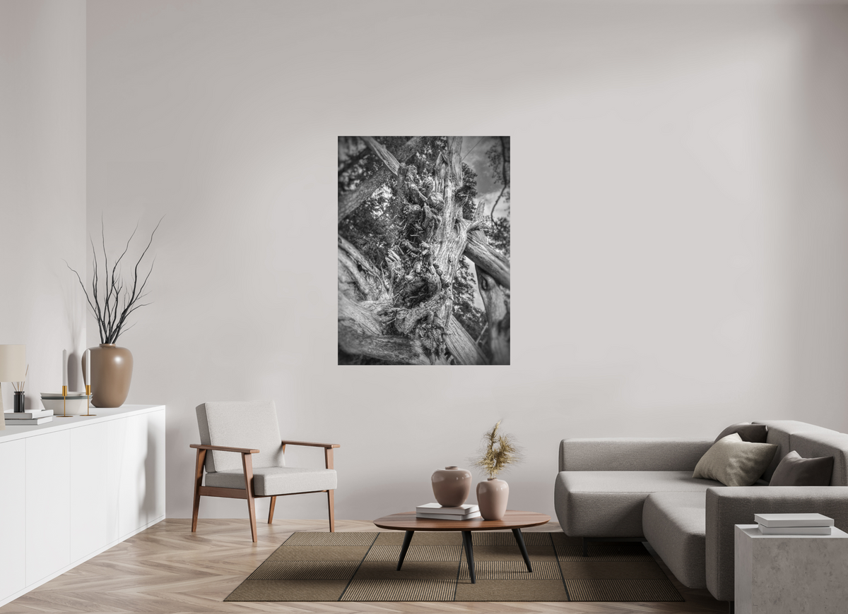 What the World Remembers — 42 x 56″ room mockup; finish varies by configuration.