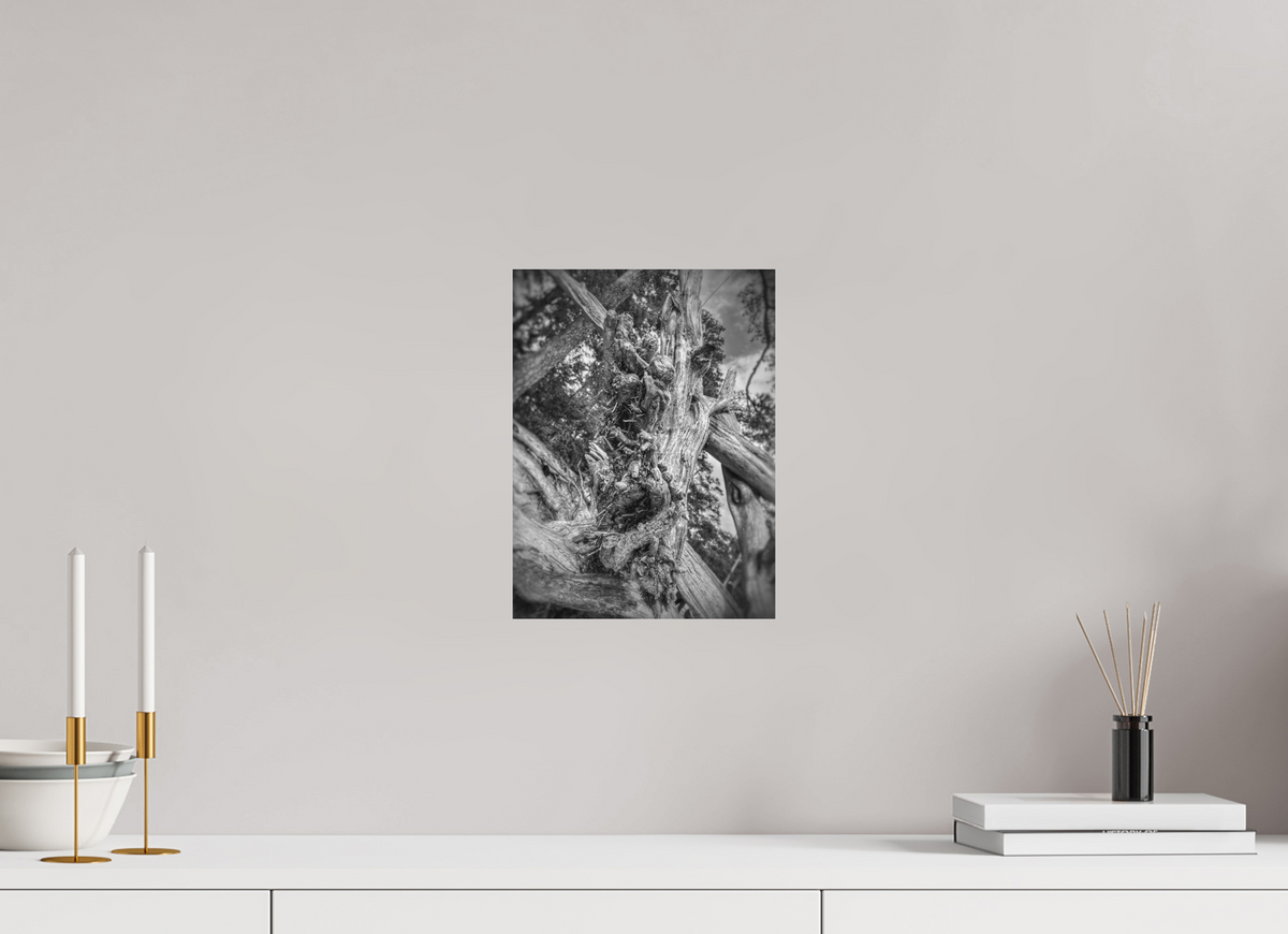 9 x 12″, Print on Aluminum Dibon no Glass What the Wood Remembers