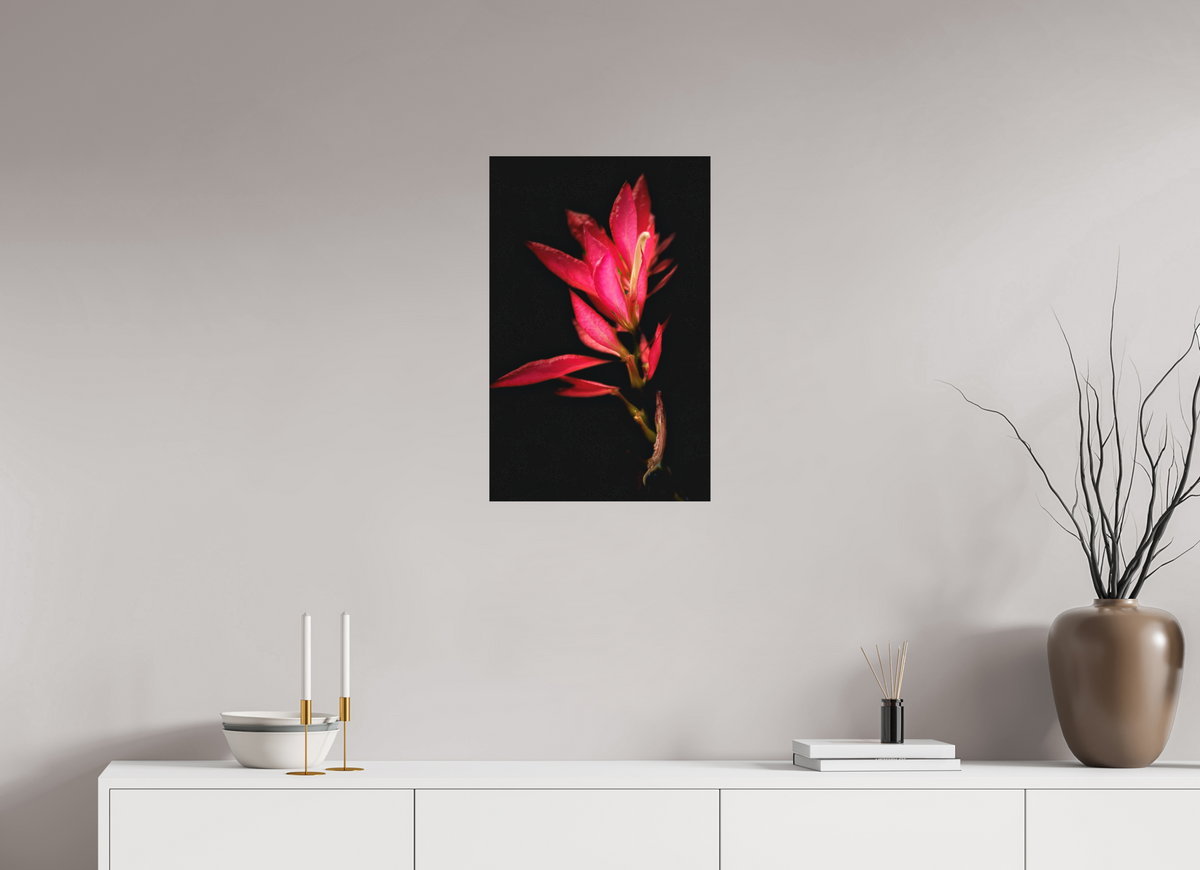 16 x 25″, Print on Aluminum Dibon no Glass Scarlet Awakening