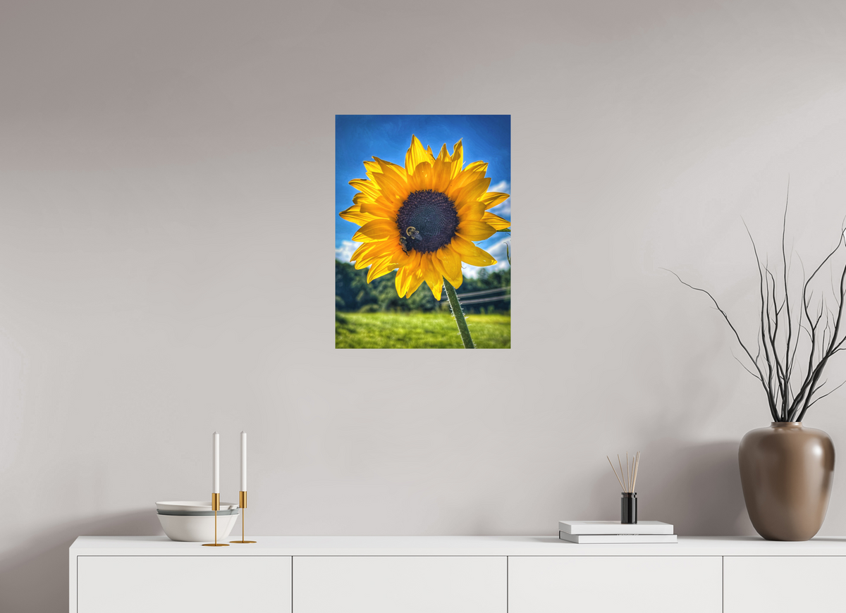 18 x 24″, Print on Aluminum Dibon no Glass The Work of Light