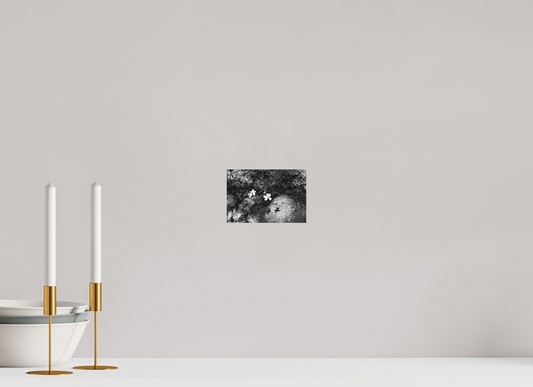 6 x 4″, Fine Art Print No Frame Small Miracles